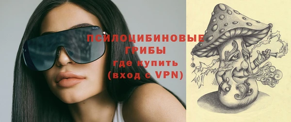 бошки Бородино