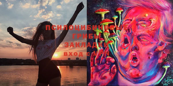 молекула духа Бронницы