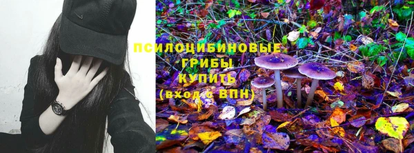 бошки Бородино