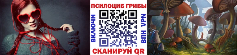 Псилоцибиновые грибы мицелий мега маркетплейс Иннополис цена наркотик